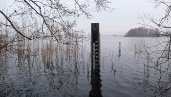 7.-Peilstok-Wijde-Blik-L1030482